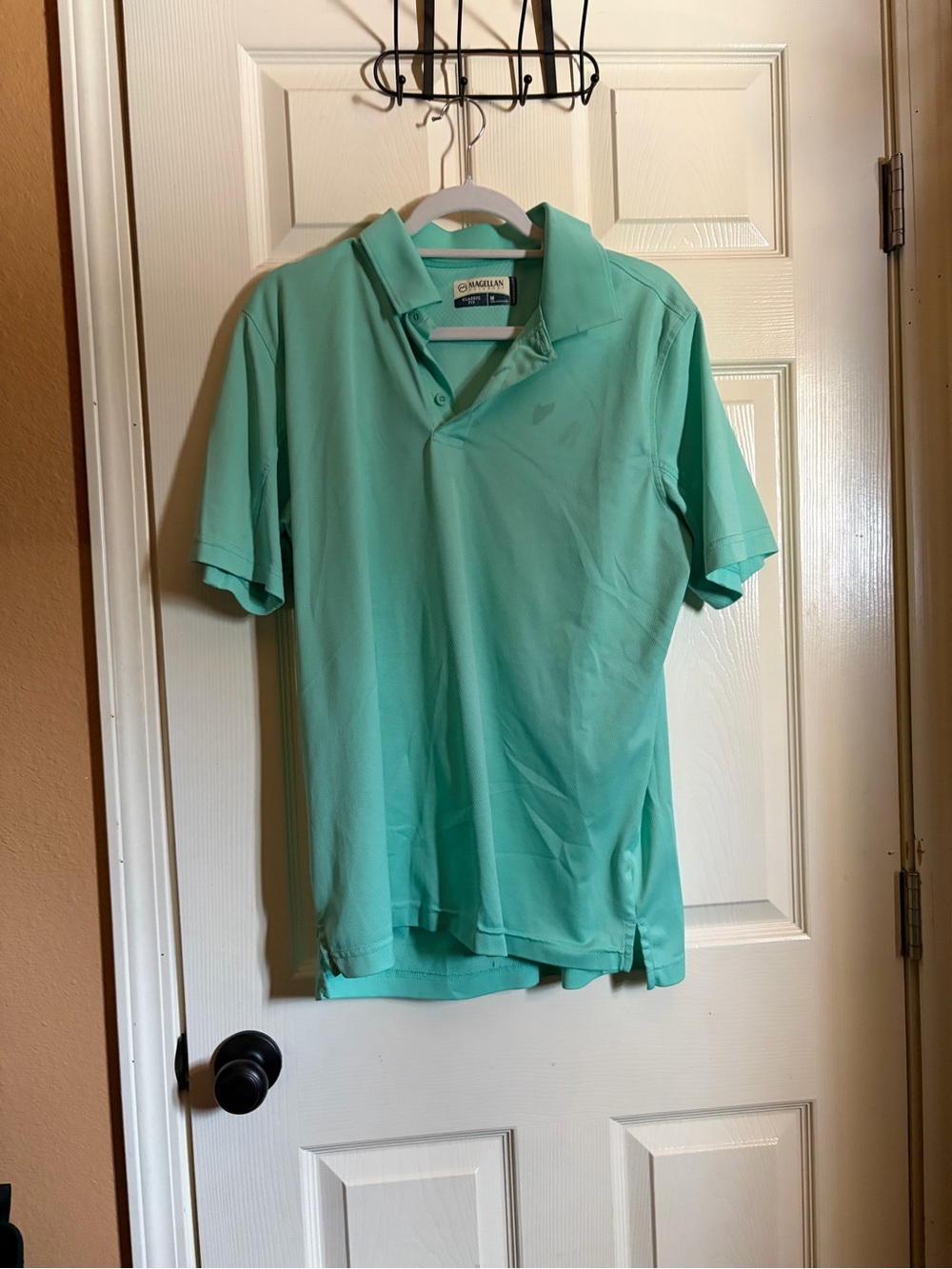 Magellan Outdoors Men's Mint Green Performance Polo